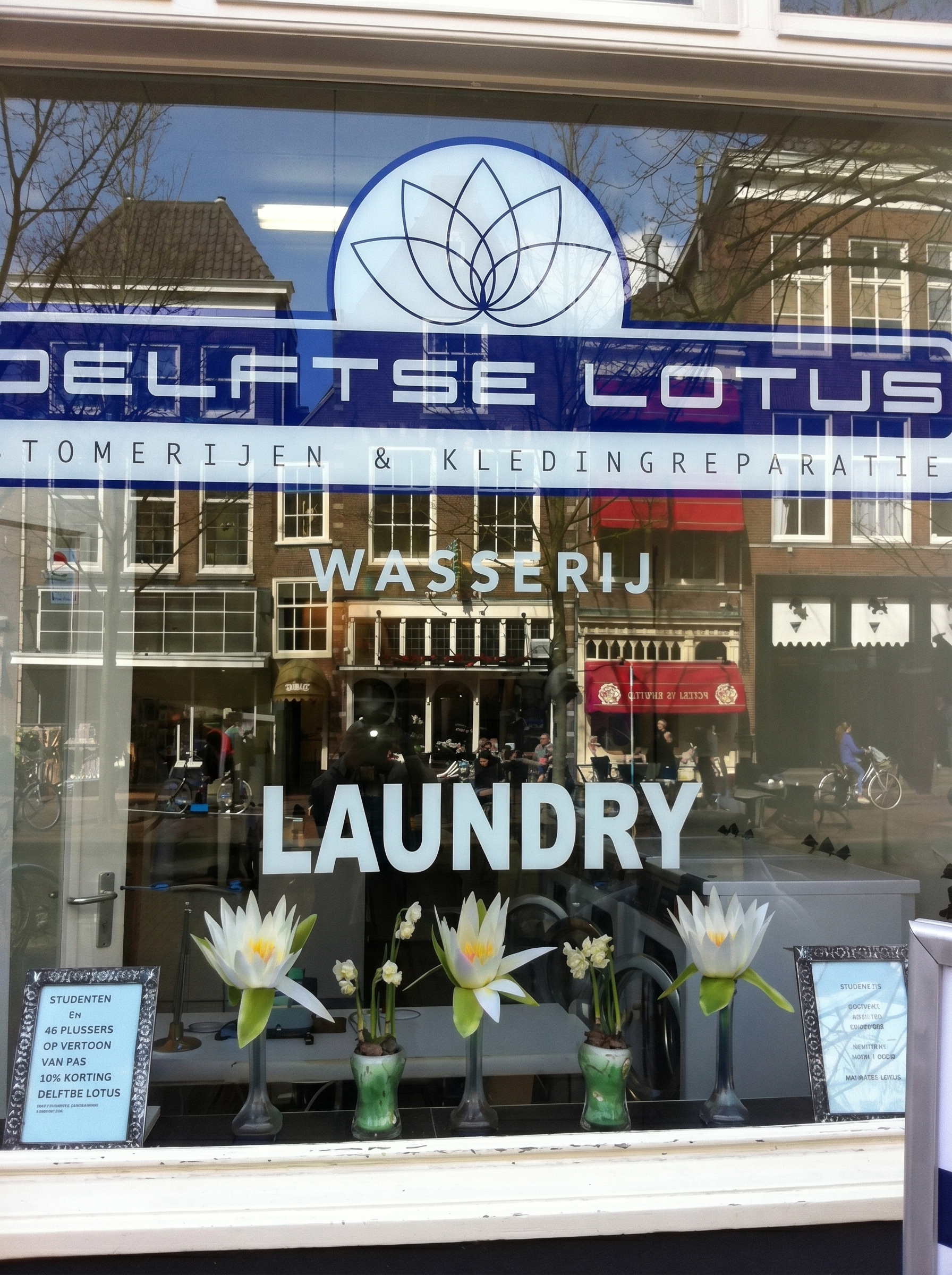 foto delftse lotus